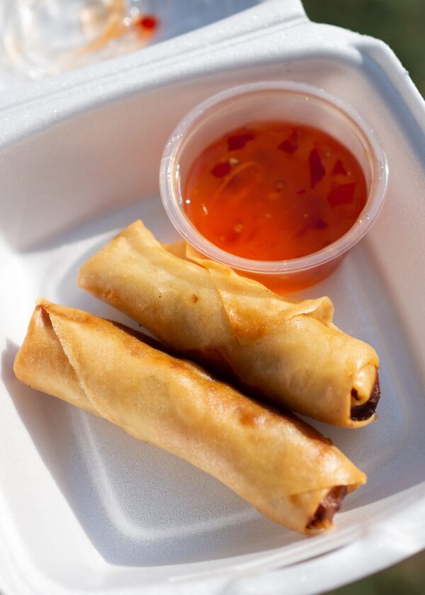 spring roll, deep fried, food